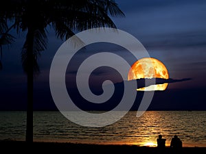 Super blue blood moon silhouette coconut two men look the moon