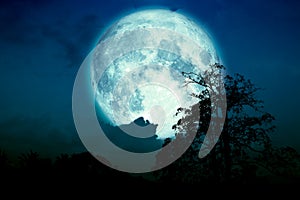 Super blue strawberry moon back on cloud and tree in the field and night sky