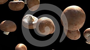 Super close-up of brown shiitake mushrooms flying down on the black background