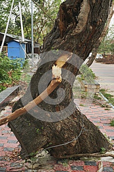 Super cyclone Amphan caused devastation, West Bengal, India