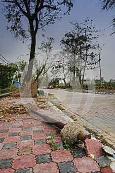Super cyclone Amphan caused devastation, West Bengal, India