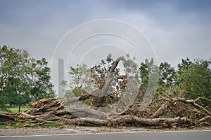 Super cyclone Amphan caused devastation, West Bengal, India