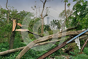 Super cyclone Amphan caused devastation, West Bengal, India