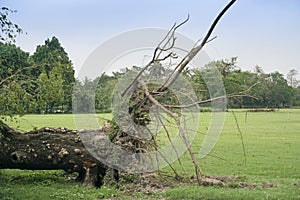 Super cyclone Amphan, West Bengal, India