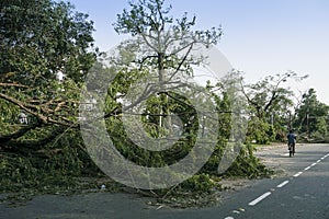 Super cyclone Amphan, West Bengal, India