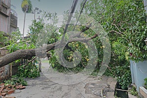 Super cyclone Amphan, West Bengal, India