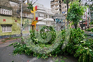 Super cyclone Amphan, West Bengal, India