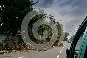 Super cyclone Amphan, West Bengal, India