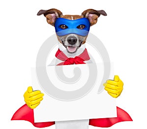 Super hero dog