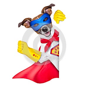 Super hero dog