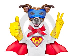 Super hero dog