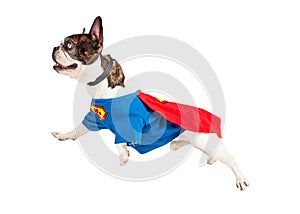 Super Hero Dog Flying Over White