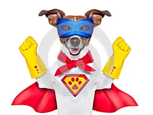 Super hero dog