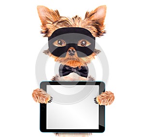 Super hero puppy dog with tablet pc