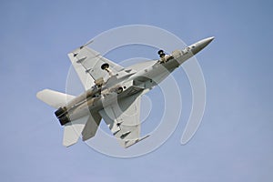 Super Hornet Loop