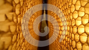 Super macro shot of uncapped honey comb. Organic beekeeping. Wax cells close up. Laowa probe lens.