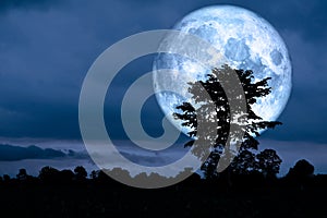 Super moon back over on silhouette tree in night sky