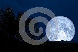 super moon back silhouette hill and palm tree night sky