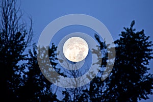 Super Moon Setting 8-11-14