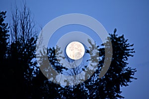 Super Moon Setting 8-11-14