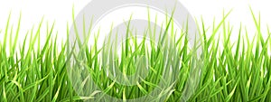 Super realistic vector grass