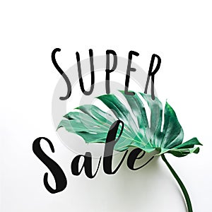 Super sale text with real monstera leaves set on white