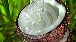 Super slow motion coconut with splashes