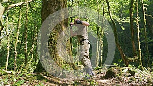 Super slow motion. Male boxer training in the forest, boxing the trunk of a large tree