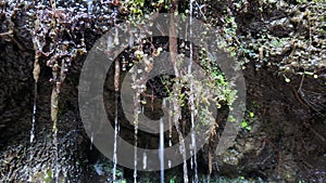 Super Slow Motion of Mossy Rock with Cascading Water Drops