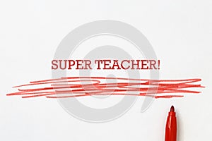 super teacher on white