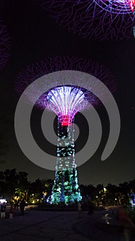 Super-tree at the Gardens by the Bay in Singapore