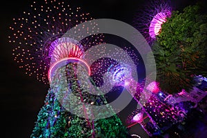 Super Trees at Gardens By The Bay, Singapore