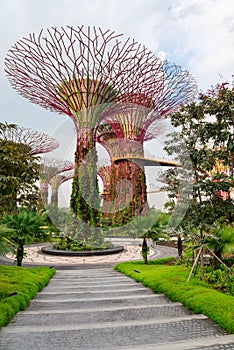 Super trees in Gardens by the Bay Singapore