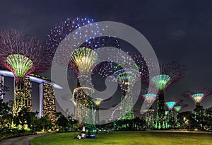 Super Trees Night Scene at Singapore Gardens by the Bay