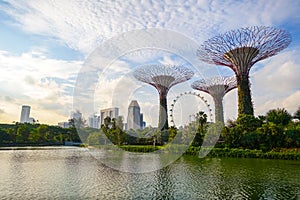 Super Trees & Singapore Flyer
