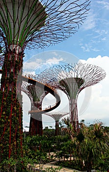 Super trees in singapore garden