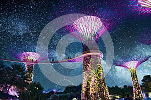The Super Trees at the Singapore Gardens by the Bay taken during the blue hour