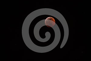 Super wolf blood moon lunar eclipse, nearly fully eclipsed and blood red