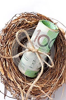 Superannuation Money Nest Business