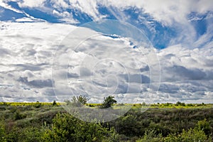 Superb landscape from the natural reserve of the Danube Delta Biosphere - landmark attraction in Romania; dramatic sky before the