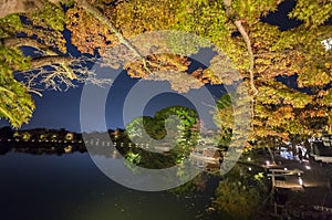 Superb view, fall color at Daikaku-ji Temple, Japan in the autum