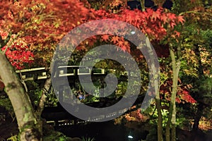 Superb view, fall color at Eikando Zenrinji, Japan in the autumn