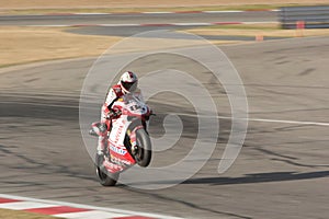 Superbike Ducati No.84