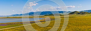 Superbloom at Soda Lake, panorama. Carrizo Plain National Monument is covered in swaths of yellow, orange and purple from a super