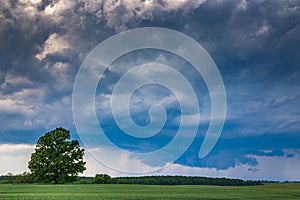 Supercell storm clouds with wall cloud and intense rain