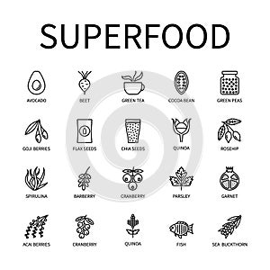 Superfood Line Icon In A Simple Style. Avocado Green Tea Pomegranate Chia Fish Beetroot Cocoa Quinoa Parsley Barberry