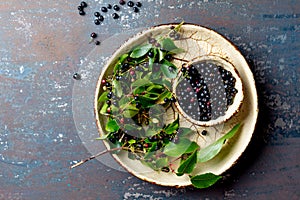 Superfood MAQUI BERRY. Superfoods antioxidant of indian mapuche, Chile. Bowl of fresh maqui berry and maqui berry tree