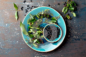 Superfood MAQUI BERRY. Superfoods antioxidant of indian mapuche, Chile. Bowl of fresh maqui berry and maqui berry tree photo