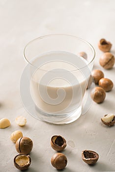 Superfood. Organic macadamia nuts and glass of macadamia milk on stone background