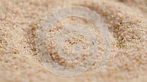 Superfood psyllium husk in wooden bowl closeup. Herb prebiotic